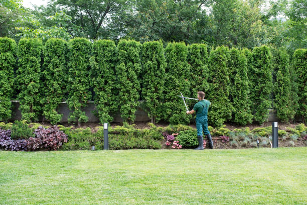 Pine Island Center, FL Tree Services Company